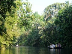 Zodiac in rainforest in Papua New Guinea.