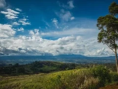 Mount Hagen in Papua New Guinea