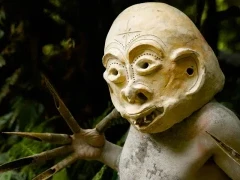 A member of the Pogla mud man tribe in Papua New Guinea.