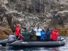 Guests photographing penguins from a Zodiac, Bounty Islands, Subantarctic.