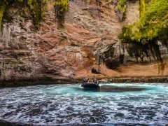 The Grotto Musgrave Inlet, in the Subantarctic.