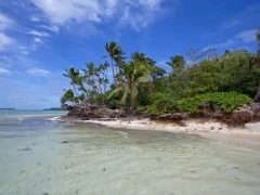 The golden shore of Vava'u Island, Tonga.