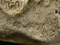 The Nunukus cave on the Chatham Islands