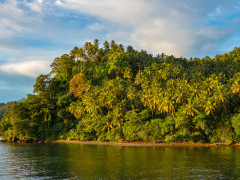 Shoreline at Walindi in Papua New Guinea