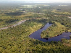 Aerial of the Sepik River in Papua New Guinea