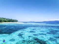 View of the Great Barrier Reef, Queensland, Australia.