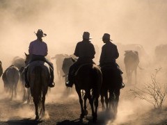 Outback ranchers in Queensland, Australia.