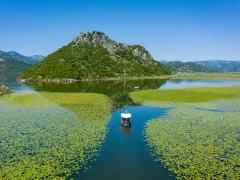 Boat trip in Lake Skadar, Montenegro