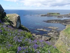 Scenery of Lunga in Scotland