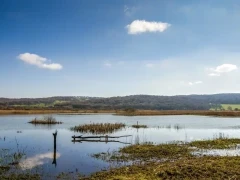 Leighton Moss Reserve in Lancashire