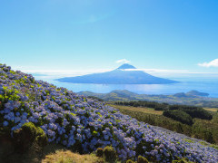 View of Pico from Faial in the Azores