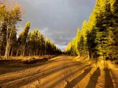 Lahemaa National Park in Estonia.