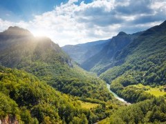 Tara River Gorge in Durmitor National Park, Montenegro