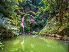 Waterfall in Caldeira Velha, São Miguel, Azores