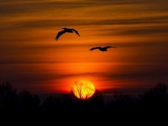 Sunset in the Danube Delta, Romania.