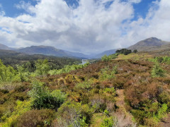 Glen Affric viewpoint in Scotland.