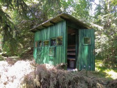Bear photography hide in Slovenia