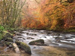 River Barle in Exmoor National Park, UK