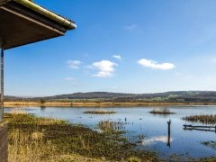 Leighton Moss RSPB Reserve in Lancashire