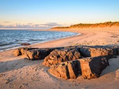 Budle Bay Beach in Northumberland