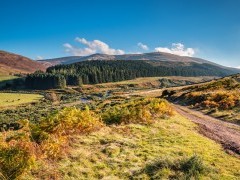College Valley in Northumberland