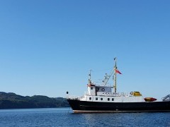 Isle of Mull whale watching boat trips and tours