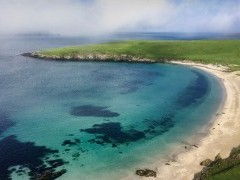 Aerial of harbour seals and pups in Rerwick, the Shetland Islands