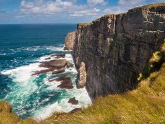 Handa Island, Scotland