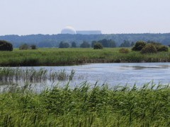 Minsmere Nature Reserve in Suffolk