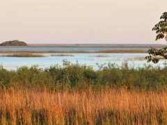 Ibera Wetlands in Argentina