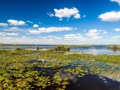 Ibera Wetlands in Argentina