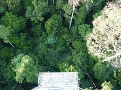 View from the canopy tower at Cristalino Lodge, Brazil.