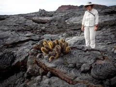 Guest on a lava field in the Galapagos.