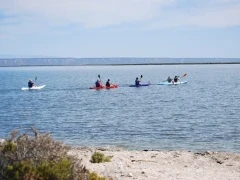 Kayaking in the Sea of Cortez, Mexico.