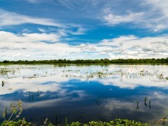 Pantanal Wetland Reserve, Brazil