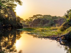 Cuiaba River in the Pantanal, Brazil
