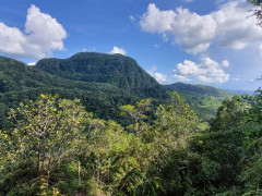 Landscape in Colombia.