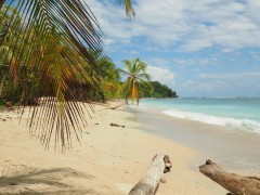 Cahuita beach in Costa Rica