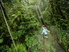 Hanging bridges in Costa Rica
