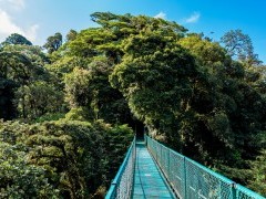 Canopy walkway in Monteverde Cloud Forest, Costa Rica