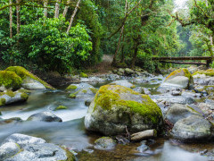 Savegre River in Costa Rica