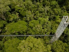 Sacha Lodge in the Ecuadorian Amazon