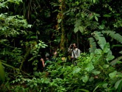 Birdwatching in Ecuador.