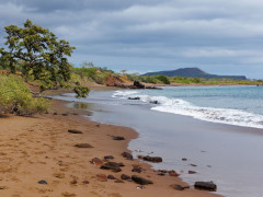 Punta Cormorant in Floreana, the Galapagos Islands.