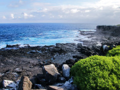 Espanola in the Galapagos Islands