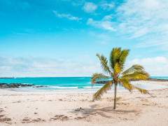 Beach in Isabela, the Galapagos Islands