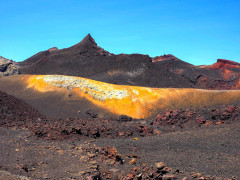 Chico in Isabela, the Galapagos Islands
