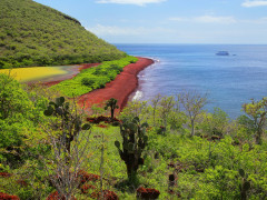 Red beach in Rabida, the Galapagos Islands