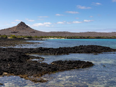 Cerro Dragon on Santa Cruz in the Galapagos Islands.