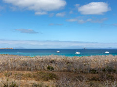 Cerro Dragon on Santa Cruz in the Galapagos Islands.
